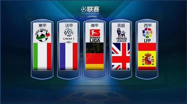 得到了国内
